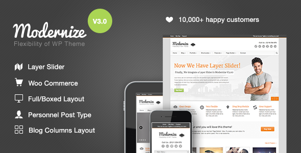 Modernize – Flexibility of WordPress 1.20