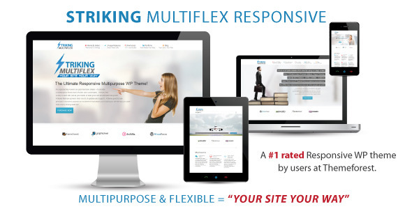 Striking 1.0.0 – MultiFlex & Ecommerce Responsive WP Theme