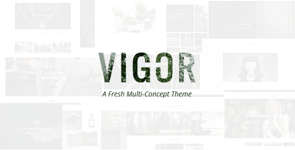 Vigor 10.1 – Vintage WordPress Theme