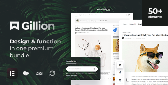 Gillion 1.0.0 – Multi-Concept Blog/Magazine & Shop WordPress AMP Theme