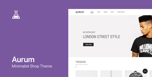 Aurum 1.0.0 – WordPress & WooCommerce Shopping Theme