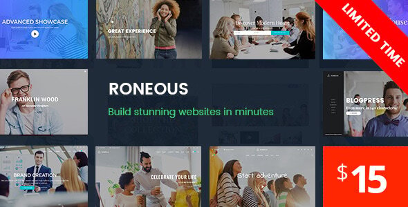 Roneous 1.4.9 – Creative Multi-Purpose WordPress Theme