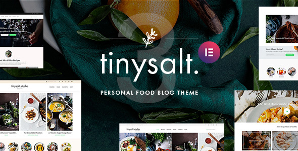 TinySalt 3.0 – Personal Food Blog WordPress Theme