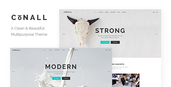 Conall Review: Clean Multipurpose WordPress Theme 2.5