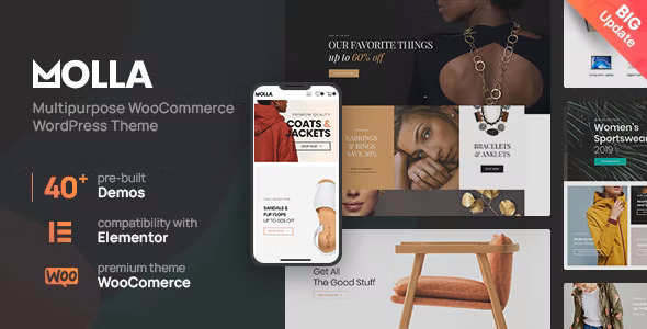 Molla 1.0.0 – Multi-Purpose WooCommerce Theme
