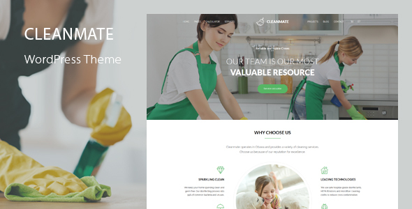 CleanMate 6.7 – Cleaning WordPress Theme