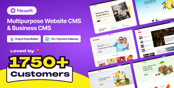 Nexelit Review: Multipurpose CMS for Business 4.1.0