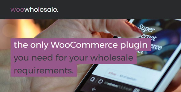 WooCommerce Wholesale Pricing Review: B2B Tiered Prices 1.0.0